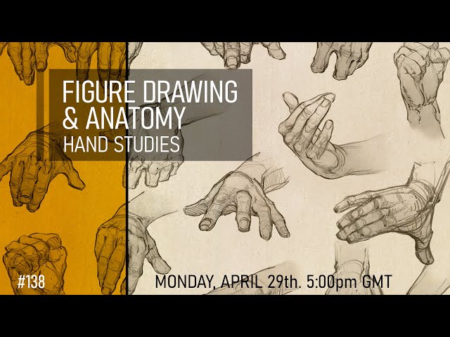 Figure Drawing & Anatomy - Hand Studies #138