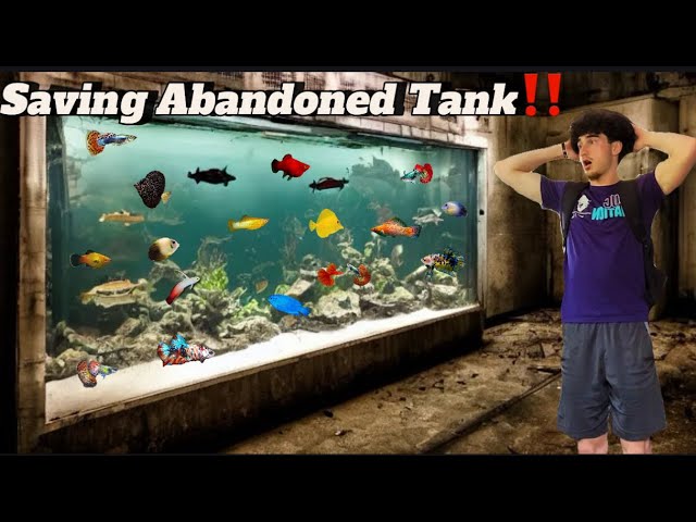 Saving Abandoned Fish Tank!!!