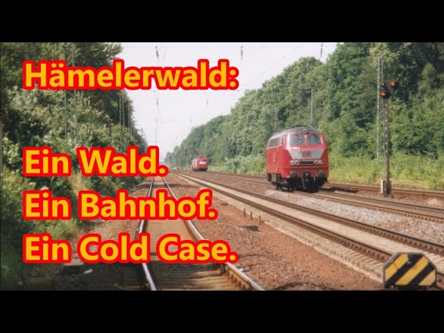 Hämelerwald: Ein Wald. Ein Bahnhof. Ein Cold Case.