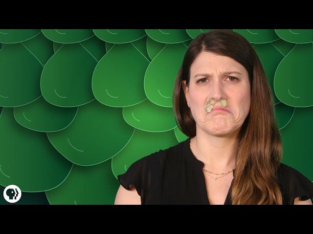 Everything You Didn't Want To Know About Snot