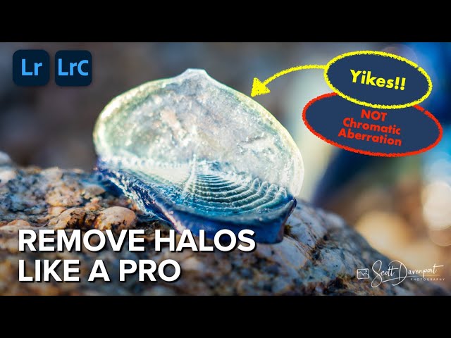 Remove Halos Like A Pro In Lightroom