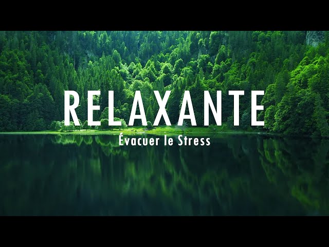 Musique relaxante pour l'isolement et la tranquillité d'esprit, arrêtez l'anxiété• Évacuer le Stress