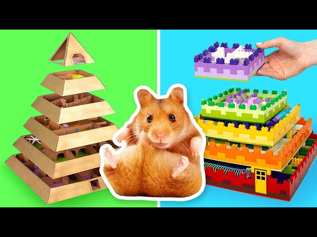 Cool DIY Mazes For Your Hamster