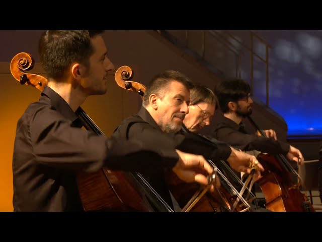 Jingle Bells | 12 Cellists