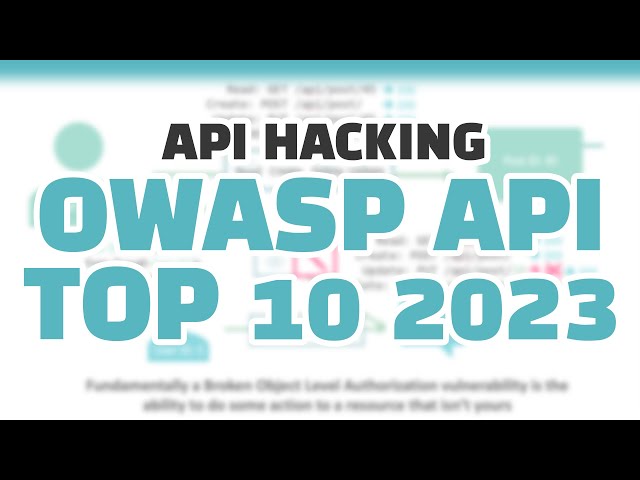 New OWASP API Top 10 for Hackers