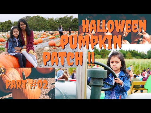 Where To Go For HALLOWEEN Pumpkin Patch Adventure || Part 2
