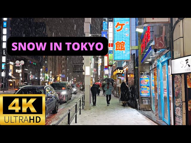 Heavy Snow Storm in TOKYO — ROPPONGI Night Walk 2024 [4K]