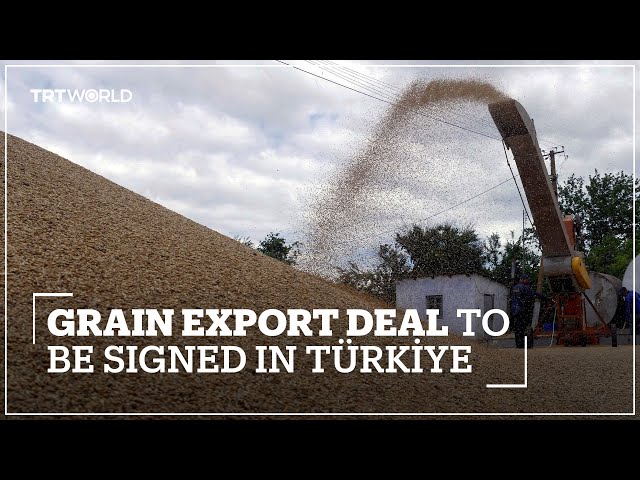 Türkiye, Russia, Ukraine to sign UN grain export deal on Friday