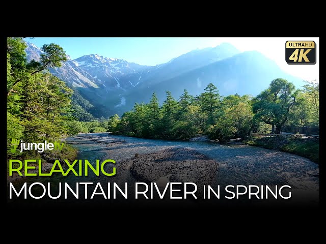 Relaxing Spring Mountain River