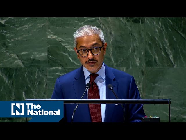 UAE on Palestine vote at UN: 'Palestinians need our support more than ever'