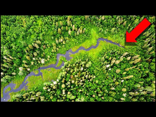 Exploring Wilderness with a Drone (DJI Mavic Mini)