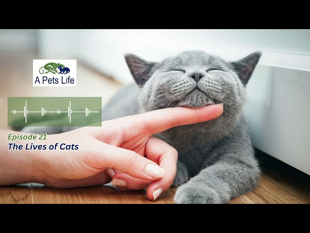 A Pets Life Podcast | Episode 21 - The Lives of Cats