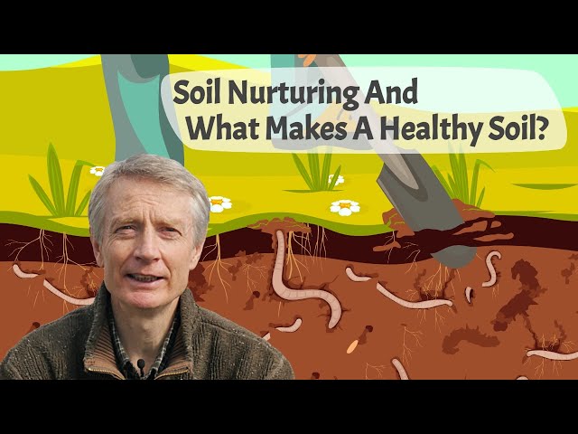 Soil Nurturing And What Makes A Healthy Soil For Growing Fruit, Vegetables, And Herbs