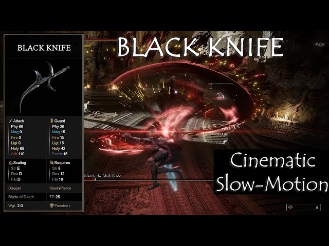 Beautiful Cinematic Boss Fight: Maliketh vs. Black Knife