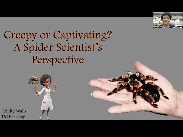 Creepy or Captivating: A Spider Scientist's Perspective.