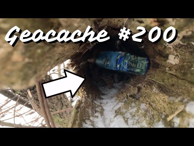 Finding our 200th Geocache
