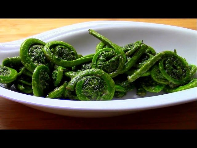 Wild Food Foraging- Fern Fiddleheads in the Spring