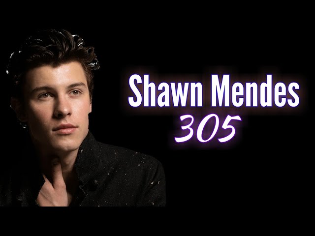 Shawn Mendes - 305 (Lyrics Video) FULL HD