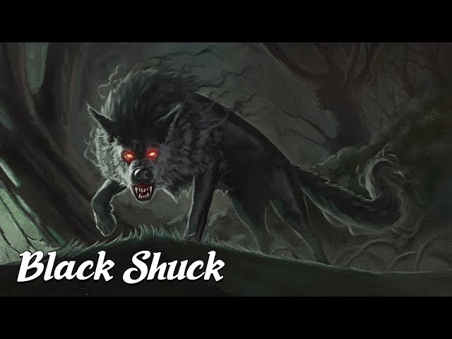 Black Shuck: The Demon Hound of Britain (Mysterious Legends & Creatures Explained) #17