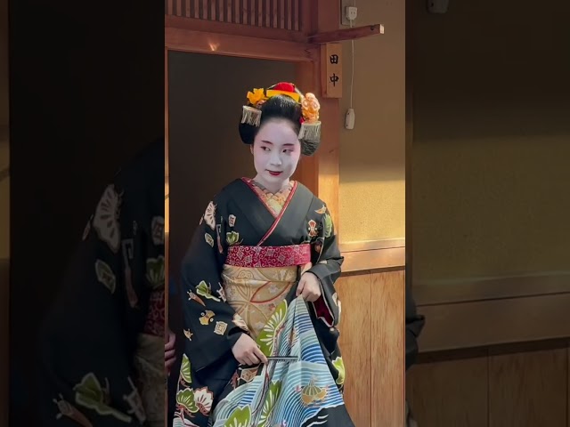 祇園の可愛い舞妓さんの見世出し #京都 #舞妓