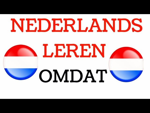 NEDERLANDS LEREN NT2 GRAMMATICA WERKWOORDEN / learn dutch english 5