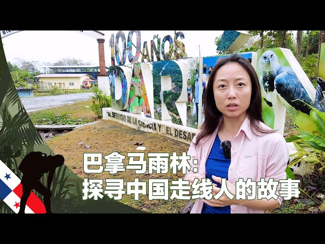 巴拿马雨林：探寻中国走线人的故事