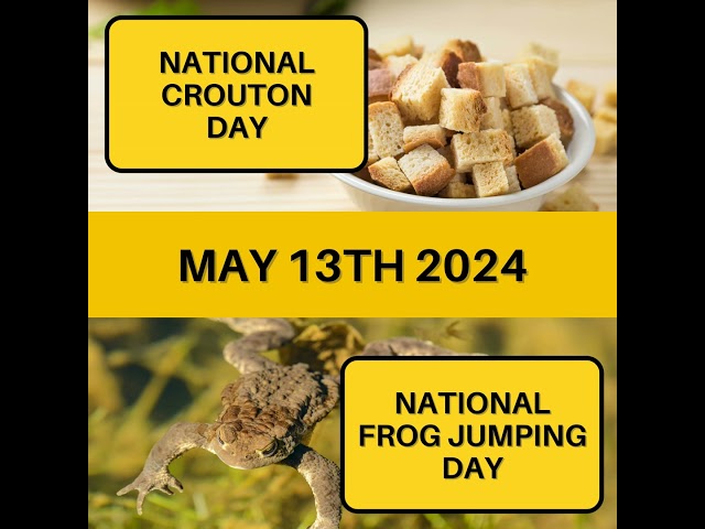 May 13, 2024 | Toasted Tidbits and Amphibian Antics: Join the Celebration