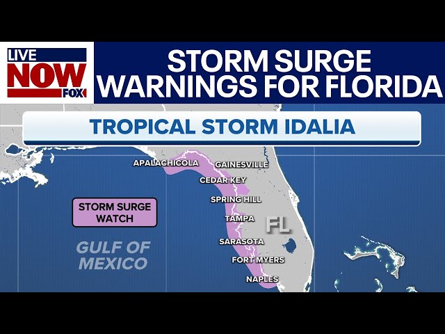 Idalia: Florida hurricane projected as Category 3, storm surge warnings active | LiveNOW from FOX