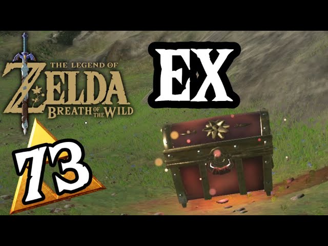 Die Erste Xenoblade Chronicles 2 Truhe! / The Legend of Zelda Breath of the Wild #73