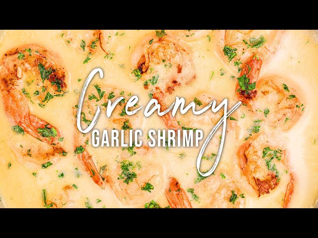 CREAMY GARLIC SHRIMP | EASY DINNER RECIPE