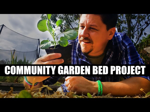 Worldwide Community Garden Bed - Project Phase 3