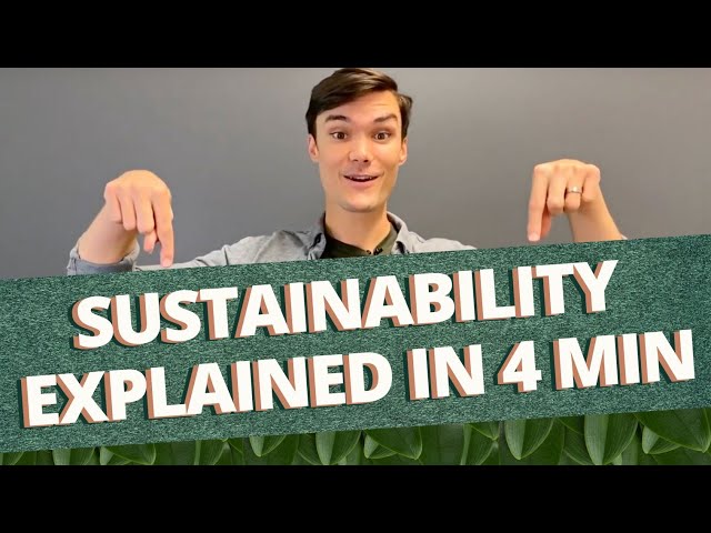 Sustainability in 4 minutes | Sustainable Explainable