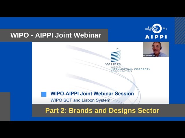 WIPO - AIPPI Joint Webinar. Part 2: Brands and Designs Sector.