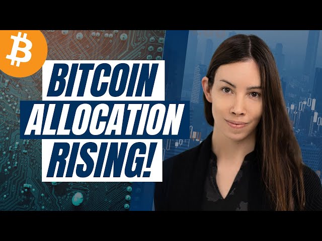 Bitcoin Portfolio Allocation Rising! with Lyn Alden