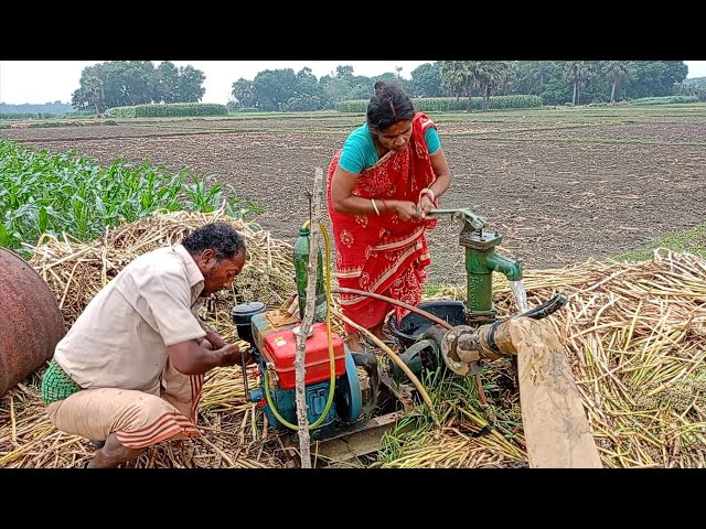 A skill farmer and a woman try to lifting water with 5hp diesel engine water pump. 5hp water pump..