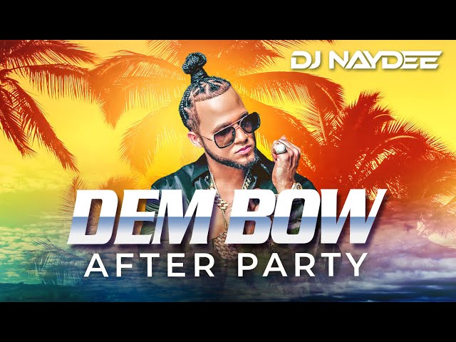 El Alfa, Rochy RD, Chimbala, Bulin 47 | Dembow Mix 2021 - 2020 | After Party By DJ Naydee