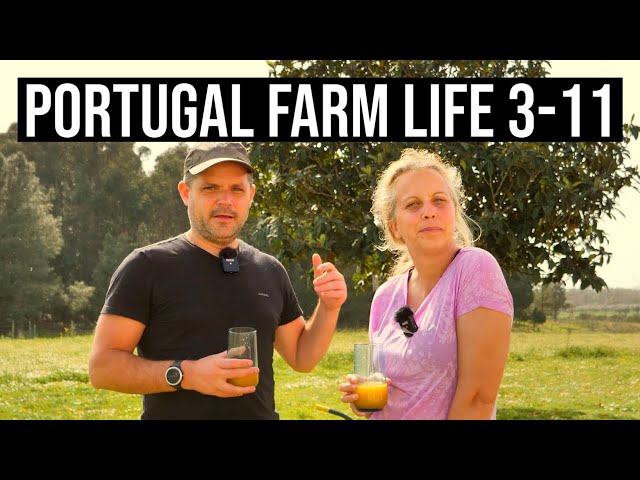 LOCKDOWN Life in Central Portugal on a farm | PORTUGAL FARM LIFE S3-E11 ❤