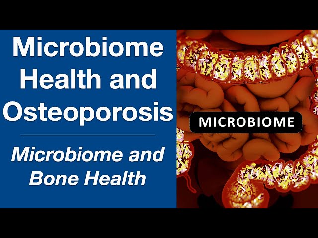 Gut Health and Osteoporosis