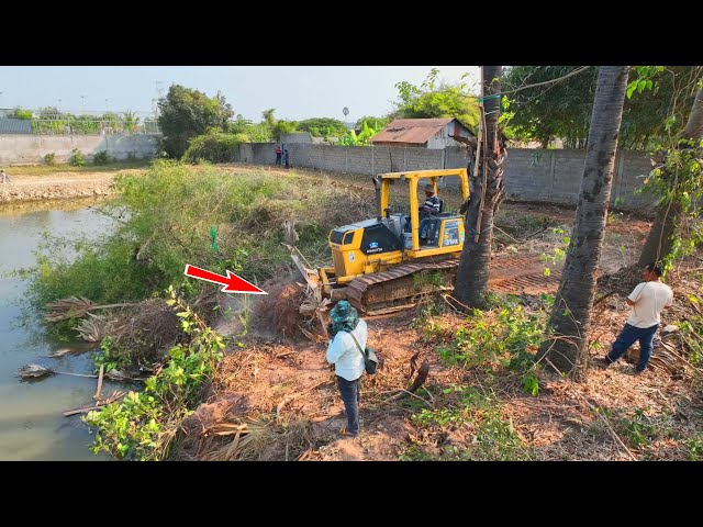 Getting Started Projects Bulldozer KUMATSU D31PX Pour soil near the pond to build the road By Truck