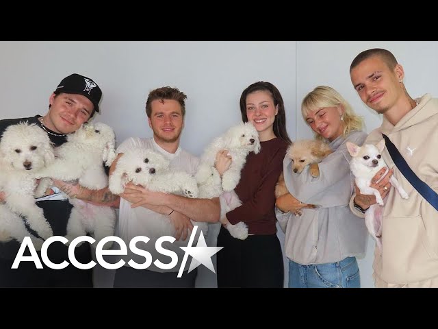 Brooklyn Beckham & Nicola Peltz Pose w/ Dogs & Gush Over Each Other