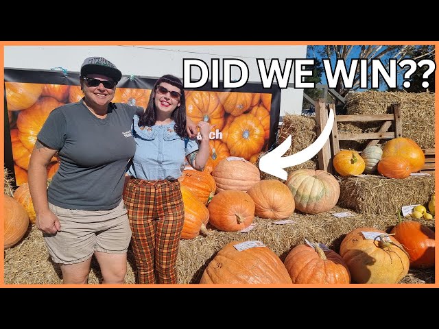 Did our GIANT pumpkin win the comp?