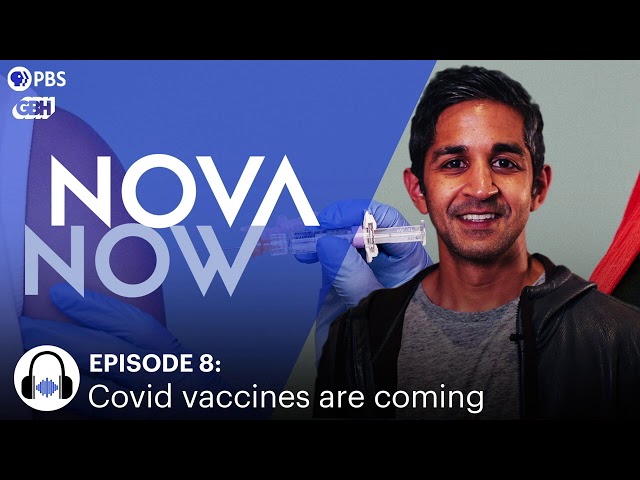 Covid vaccines are coming: What’s inside, and how and when you’ll get one I NOVA Now I PBS