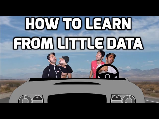 How to Learn from Little Data - Intro to Deep Learning #17