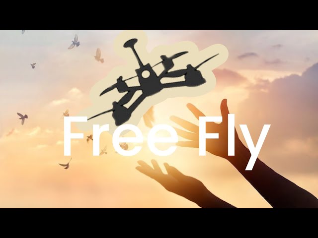 Free Flight with an Fpv Drone