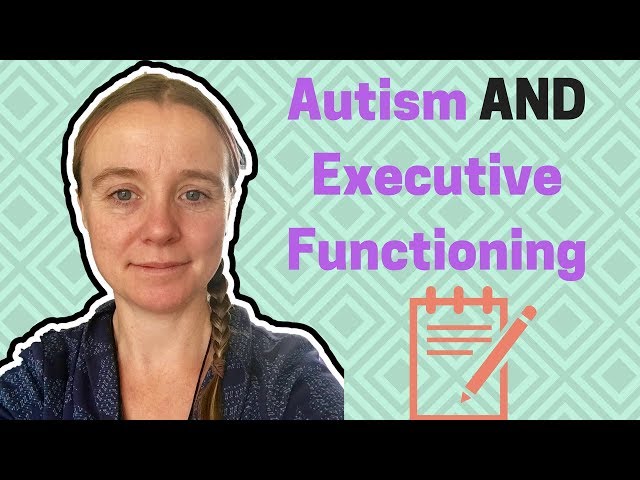 AUTISM AND EXECUTIVE FUNCTIONING