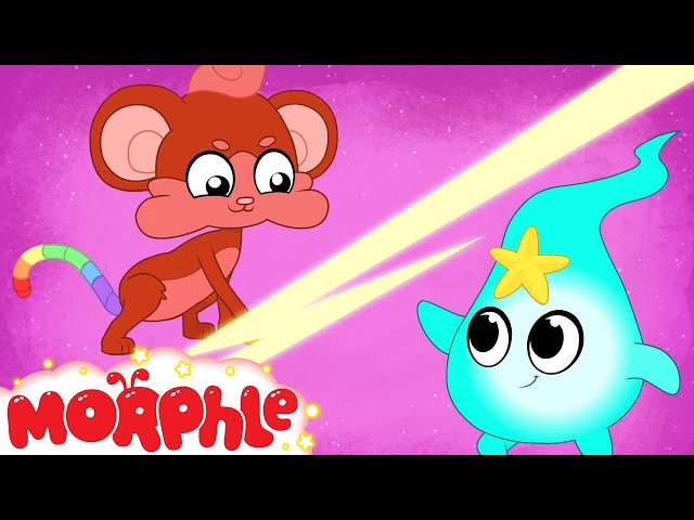 ANIMI VS STRINGLE - Mila's Book of Magic Pets | Cartoons for Kids | Morphle TV
