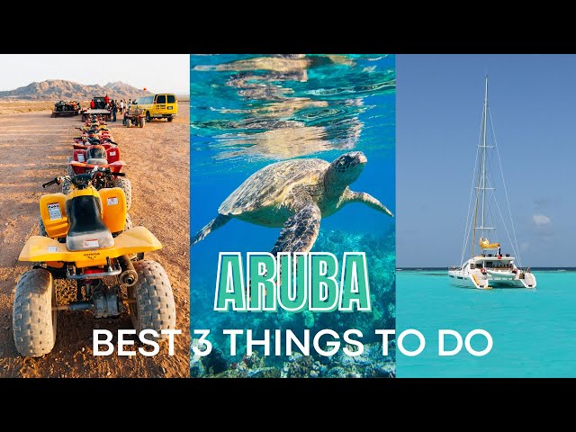 BEST 3 ARUBA EXCURSIONS You Can't Miss! 🇦🇼