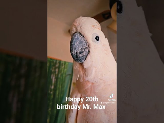 Max turns 20 today. August 22, 2023