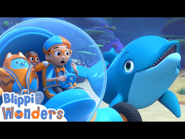 Blippi Learns How Dolphins Talk! | Blippi Wonders Educational Videos for Kids