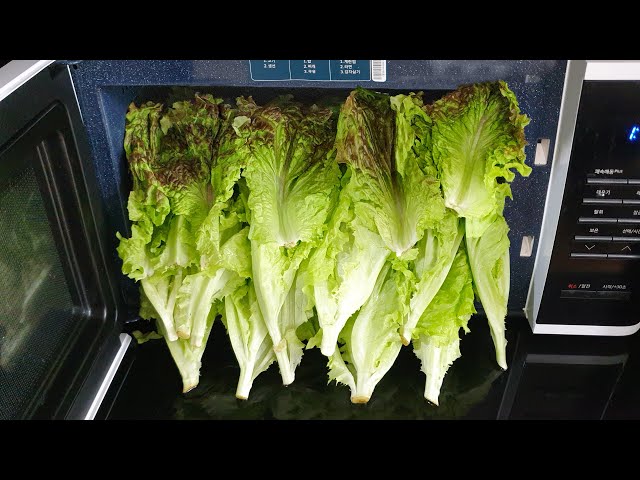 If you see lettuce, buy a lot and put it in the microwave